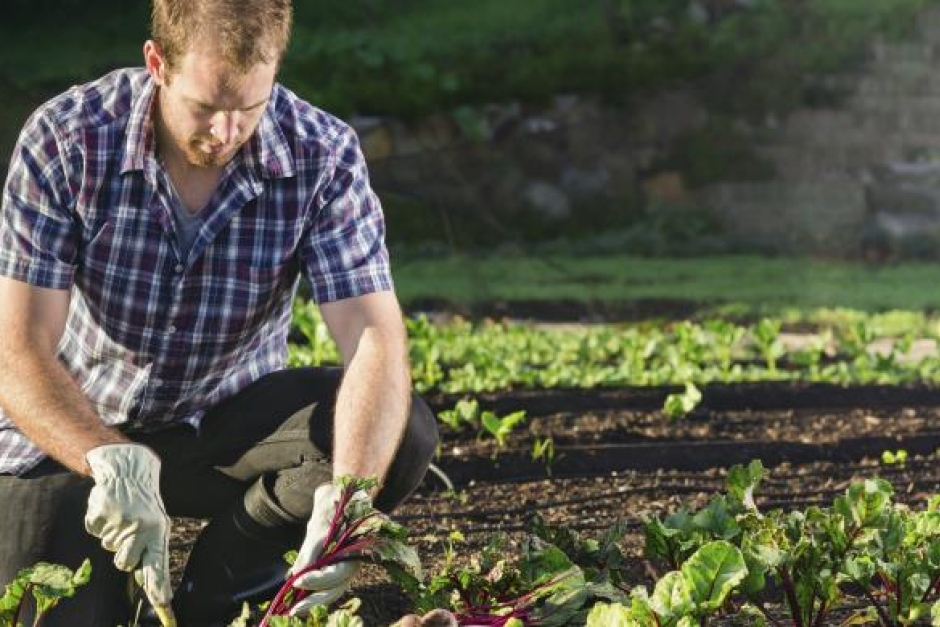 Gi Group Supporter del Progetto “We Feed the Planet”