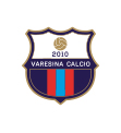 Varesina