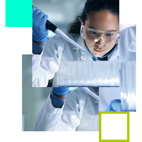 Soluzioni HR per la tua azienda - Divisione Life Sciences Gi Group - 2